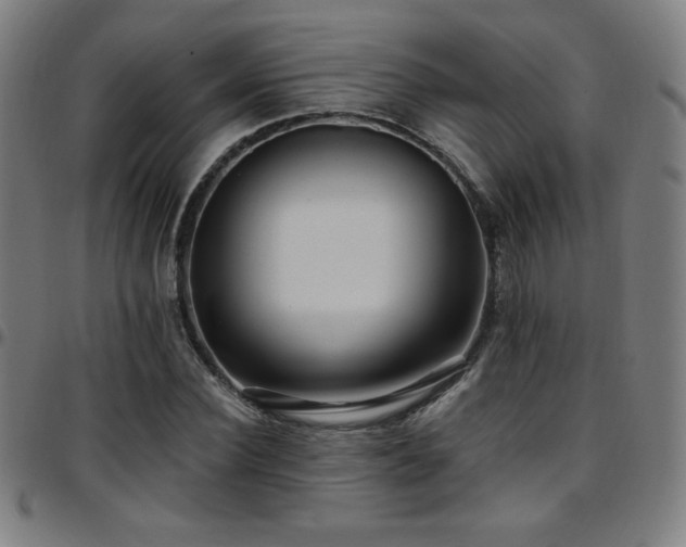 X0000097790924200803071409