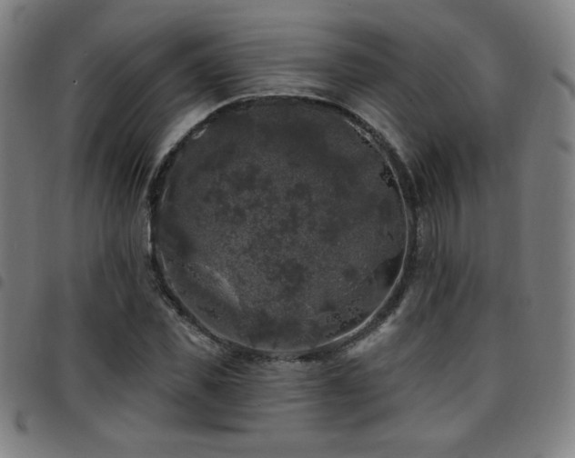 X0000097790925200803071409