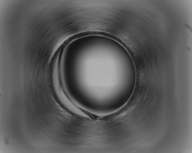 X0000097790926200803071409