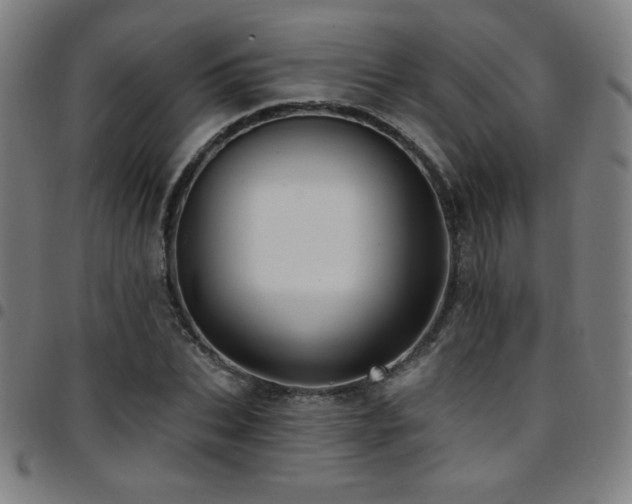 X0000097790927200803071409