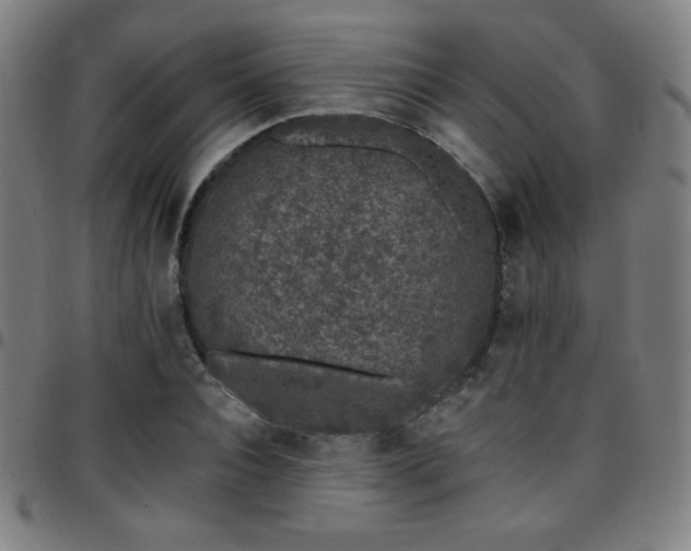 X0000097790928200803071409