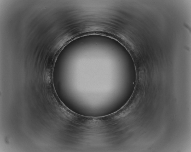 X0000097790929200803071409