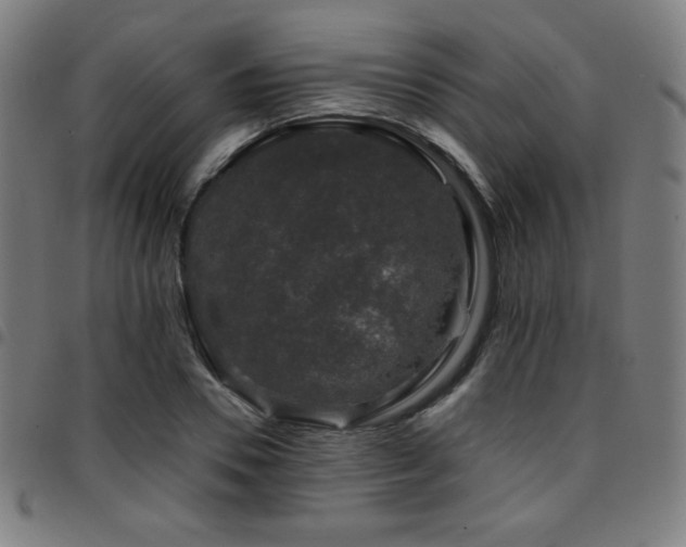 X0000097790930200803071409