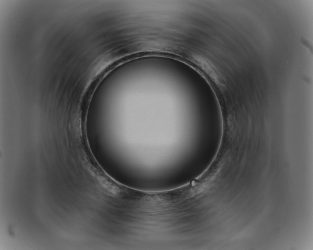 X0000097790931200803071409