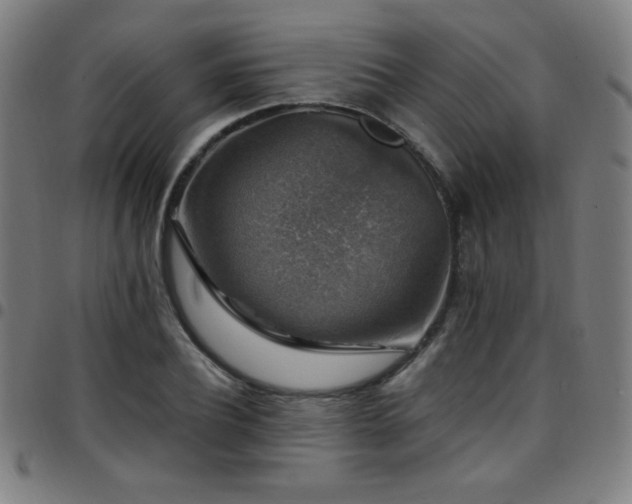 X0000097790932200803071409