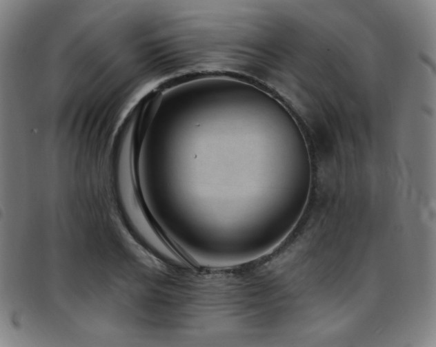 X0000097790934200803071409