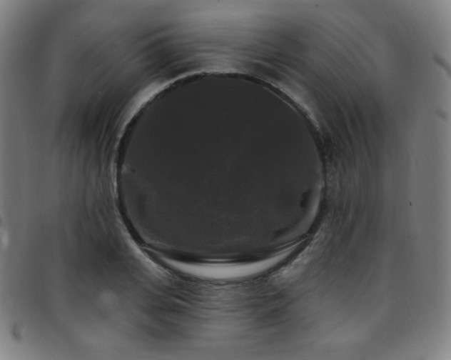 X0000097790935200803071409