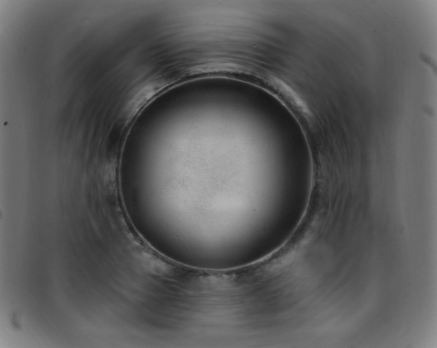 X0000097790937200803071409