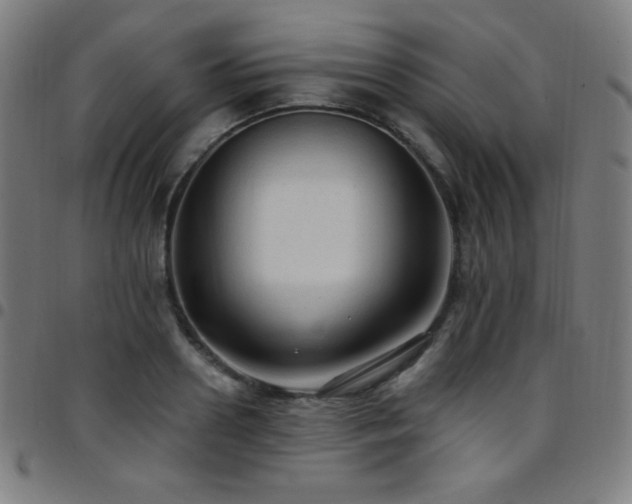 X0000097790938200803071409