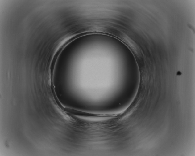 X0000097790940200803071409