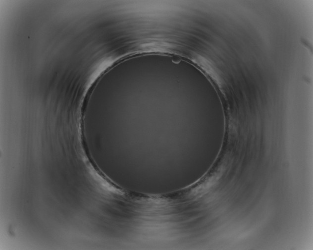 X0000097790941200803071409