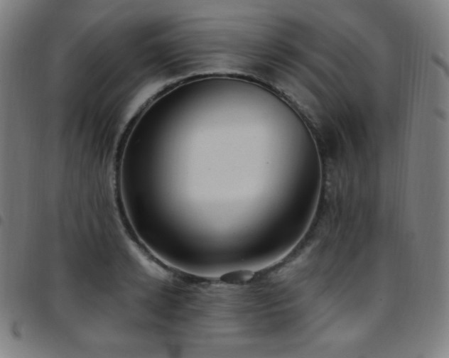 X0000097790942200803071409