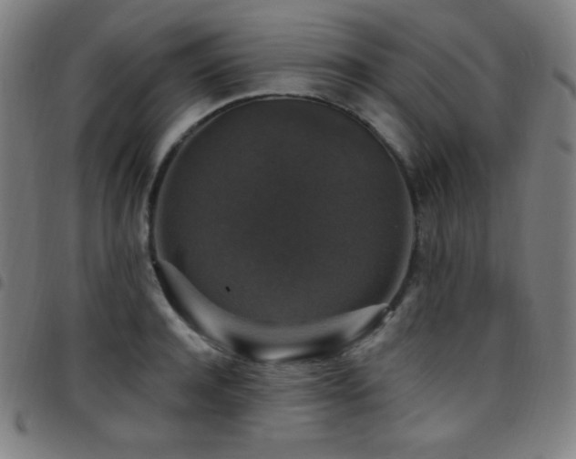 X0000097790944200803071409