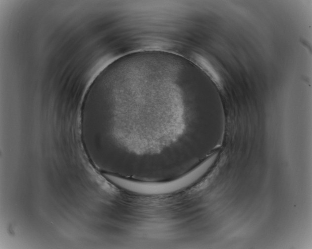 X0000097790948200803071409