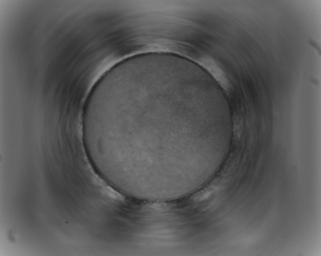X0000097790950200803071409