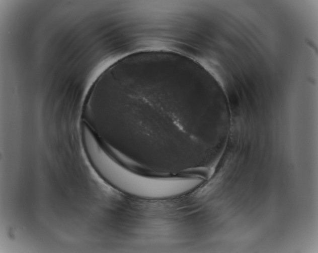 X0000097790951200803071409