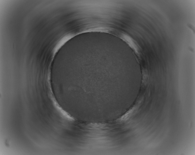 X0000097790952200803071409