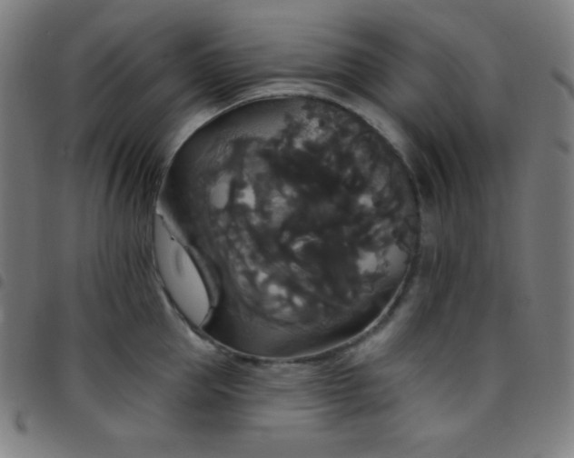 X0000097790953200803071409