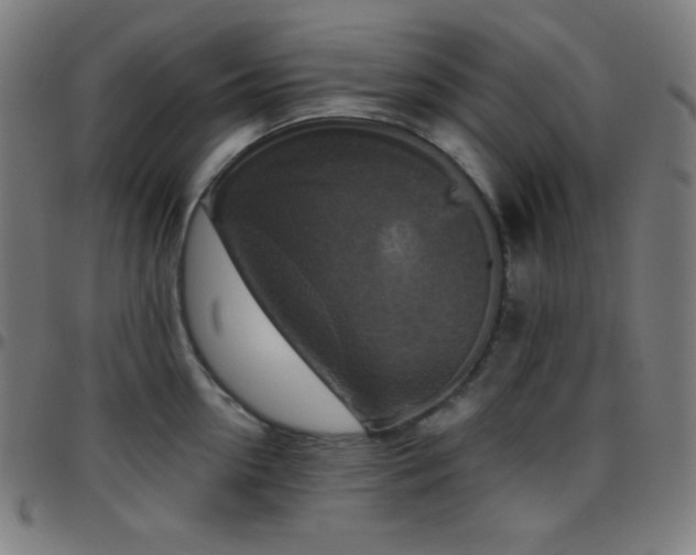 X0000097790954200803071409