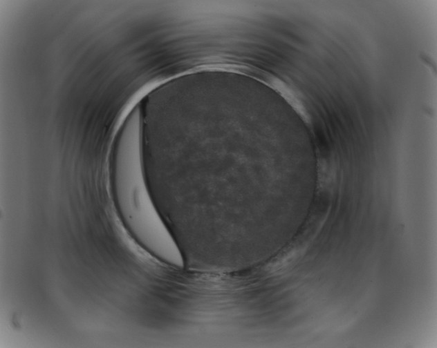 X0000097790955200803071409