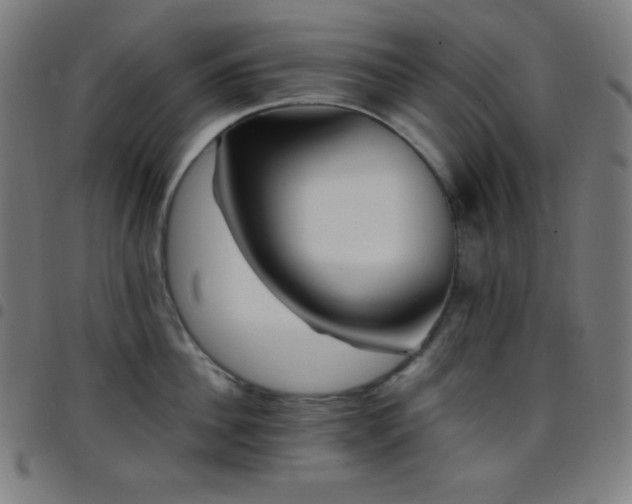 X0000097790956200803071409