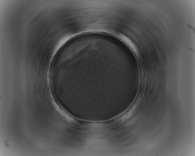 X0000097790958200803071409