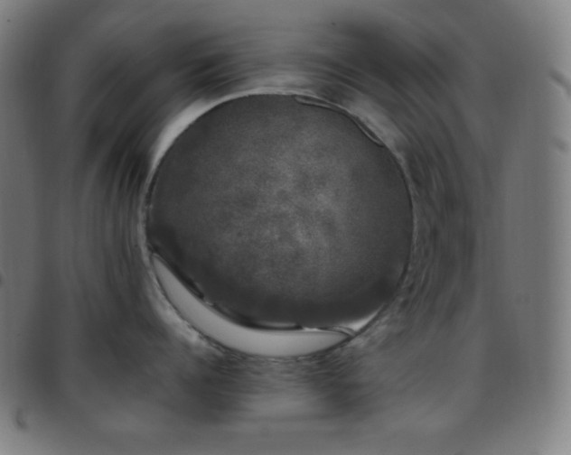 X0000097790960200803071409