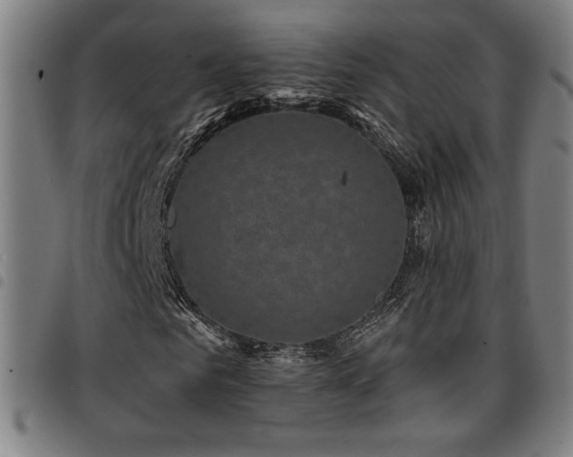 X0000097790961200803071409