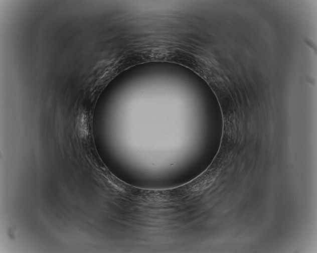 X0000097790962200803071409