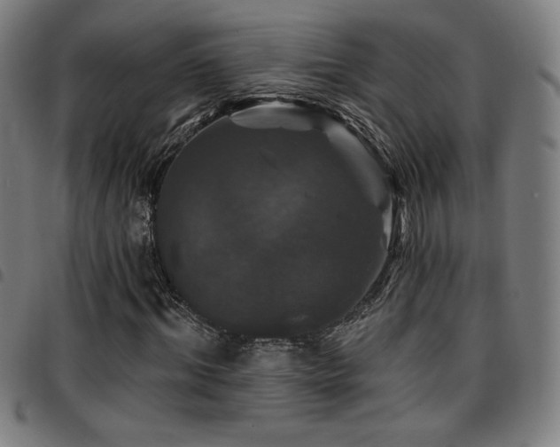 X0000097790964200803071409