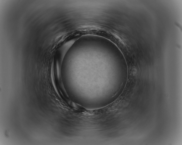 X0000097790965200803071408