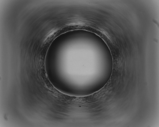 X0000097790967200803071408