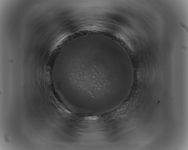 X0000097790968200803071408