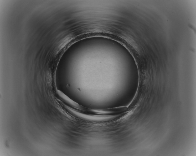 X0000097790969200803071408