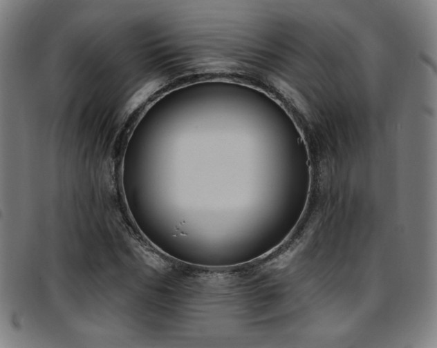 X0000097790970200803071408