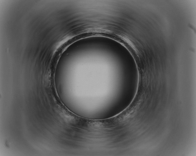 X0000097790971200803071408
