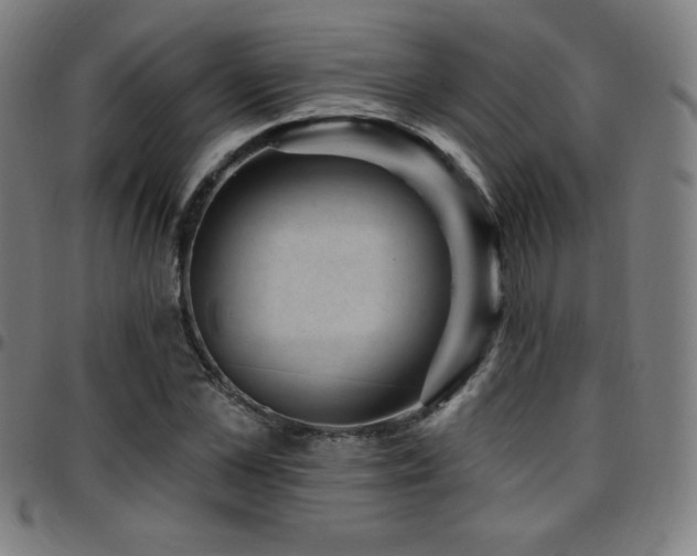 X0000097790973200803071408