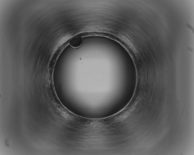 X0000097790974200803071408