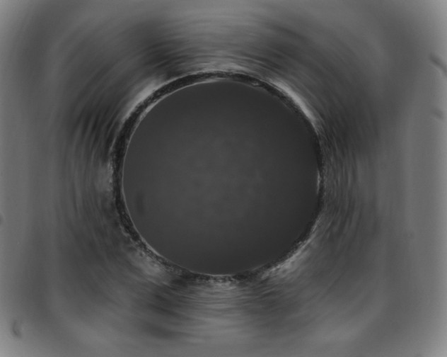 X0000097790975200803071408