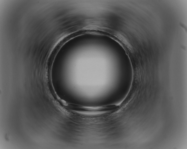 X0000097790976200803071408
