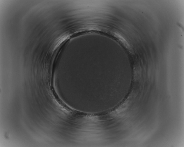 X0000097790977200803071408