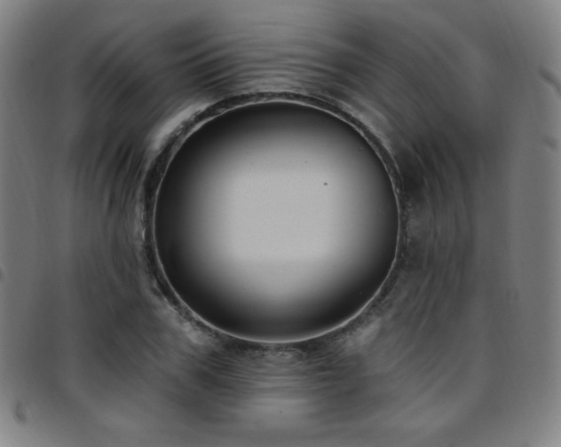 X0000097790979200803071408