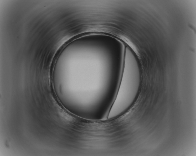 X0000097790980200803071408