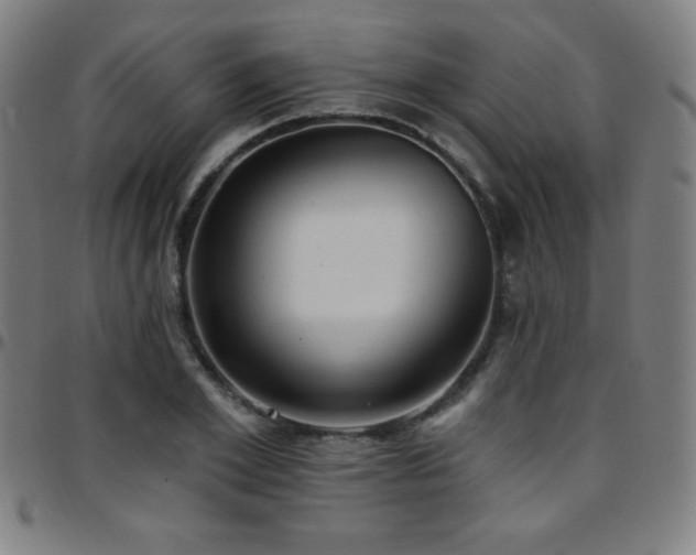 X0000097790981200803071408