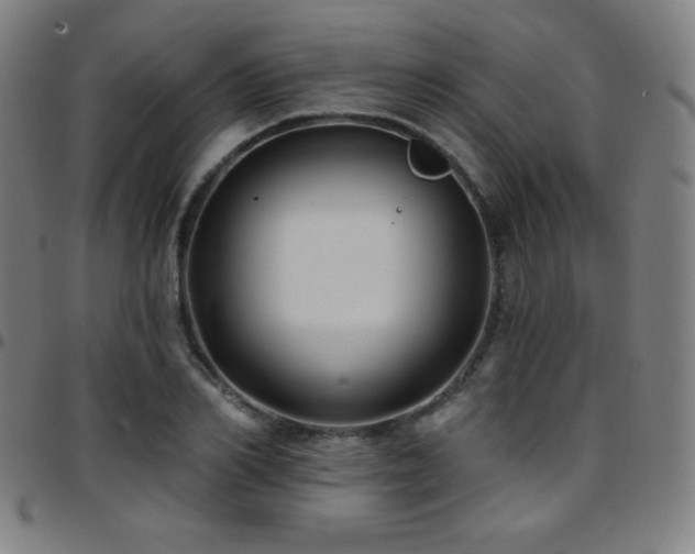 X0000097790982200803071408