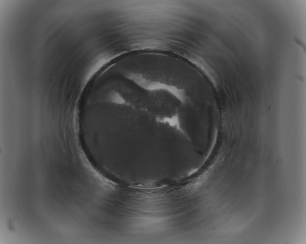 X0000097790983200803071408