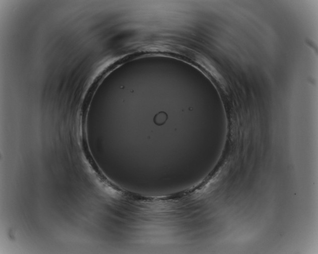 X0000097790984200803071408