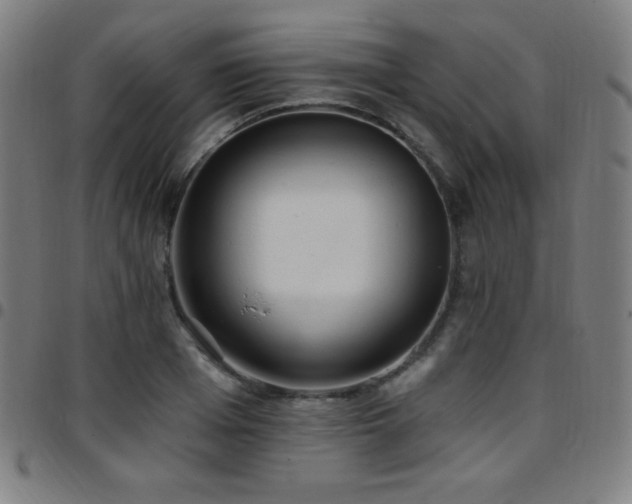 X0000097790985200803071408