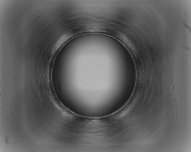X0000097790986200803071408