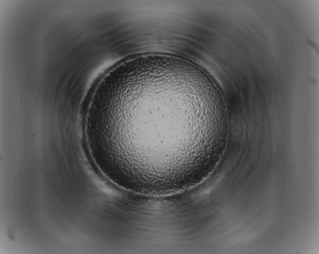 X0000097790987200803071408